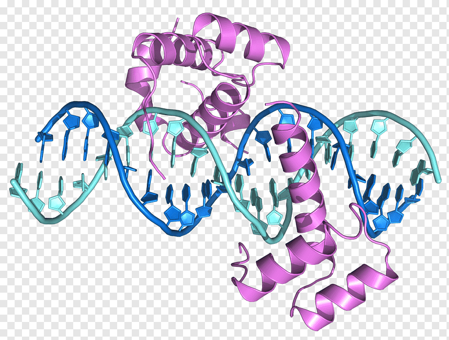 Finding Mutations in DNA and Proteins (Bioinformatics VI) cou_179