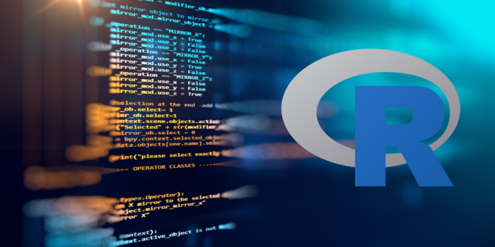 Data Analysis with R Programming cou_202502303