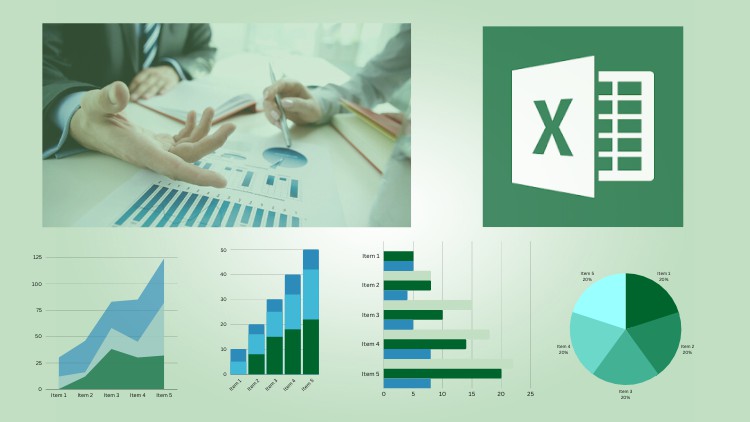 Excel Basics for Data Analysis cou_202502321
