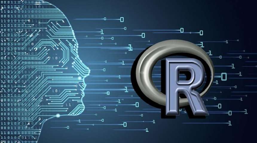 R Programming cou_202502378