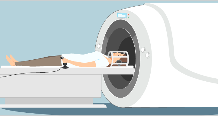 Principles of fMRI 1 cou_202502449