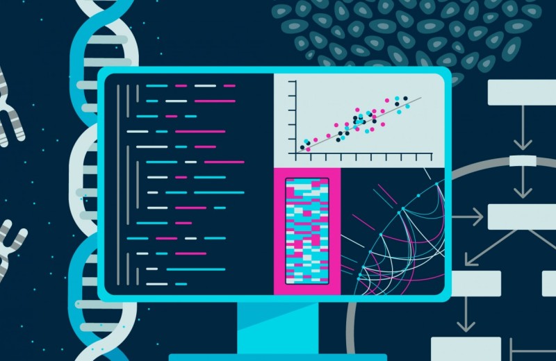 Data-Driven Animation for Science Communication cou_202502560