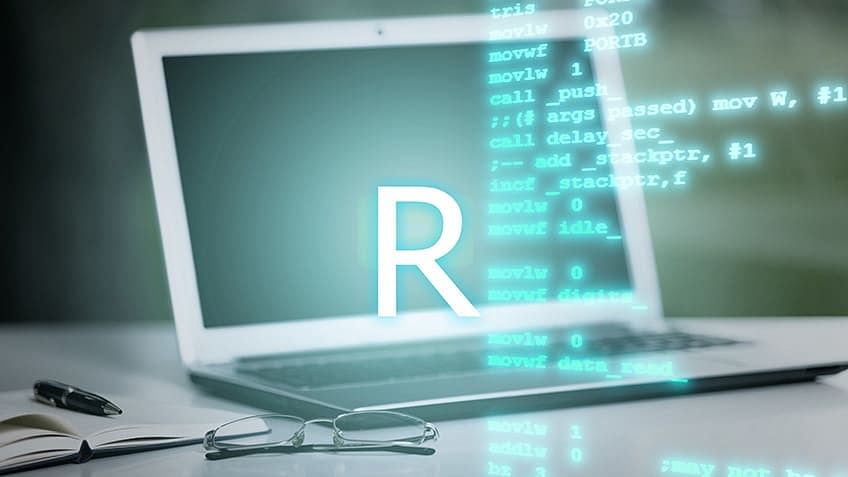The R Programming Environment cou_202502608