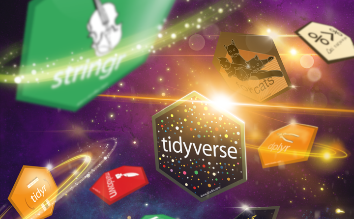 Introduction to R Programming and Tidyverse cou_202502639