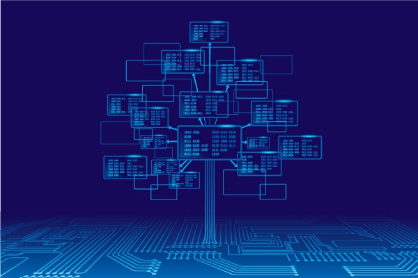 Build Decision Trees, SVMs, and Artificial Neural Networks cou_202502802