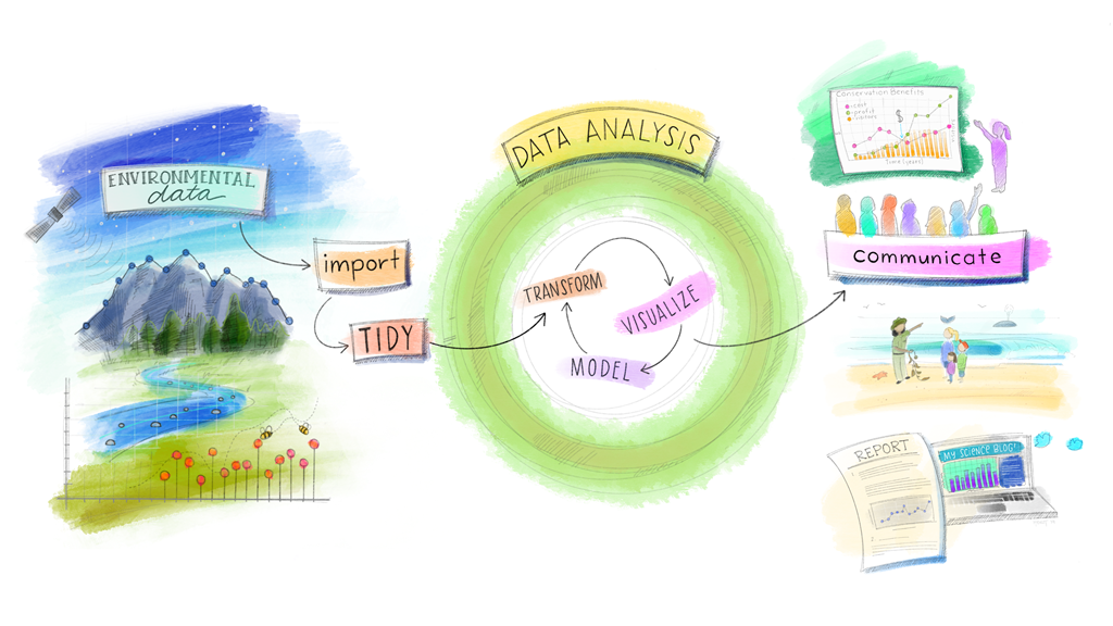 Modeling Data in the Tidyverse cou_202502882