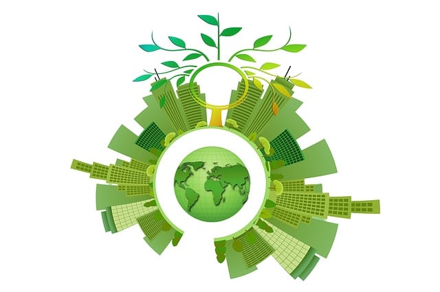 Introduction to Sustainability cou_202503033