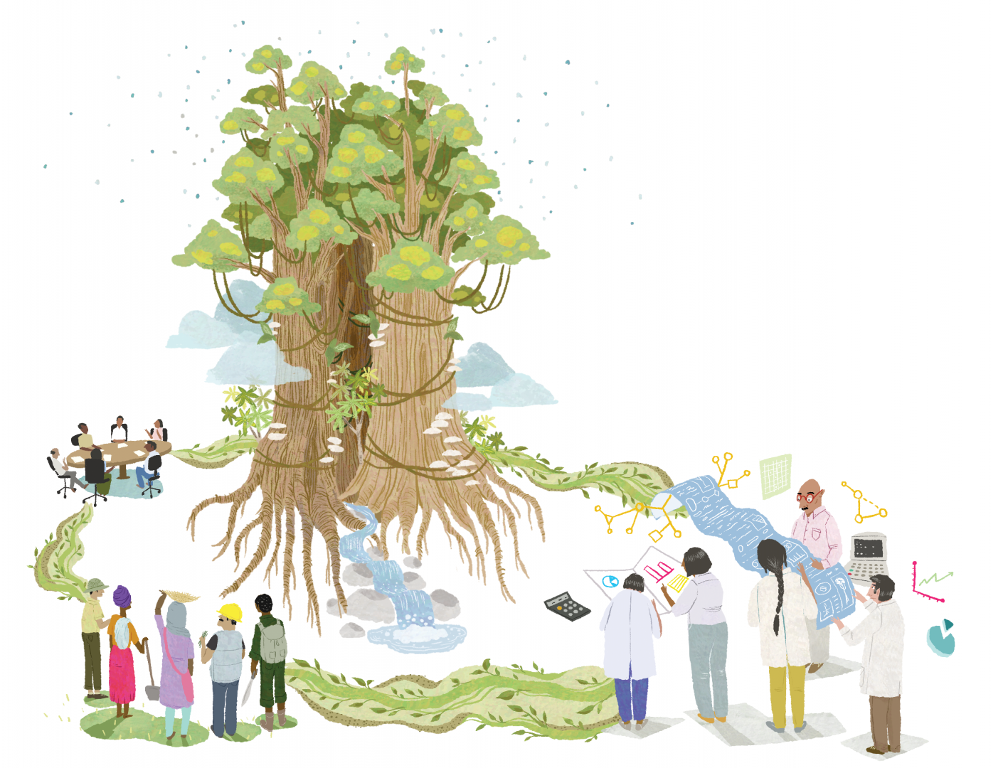 Tropical Forest Landscapes 101: Conservation & Restoration cou_202503089