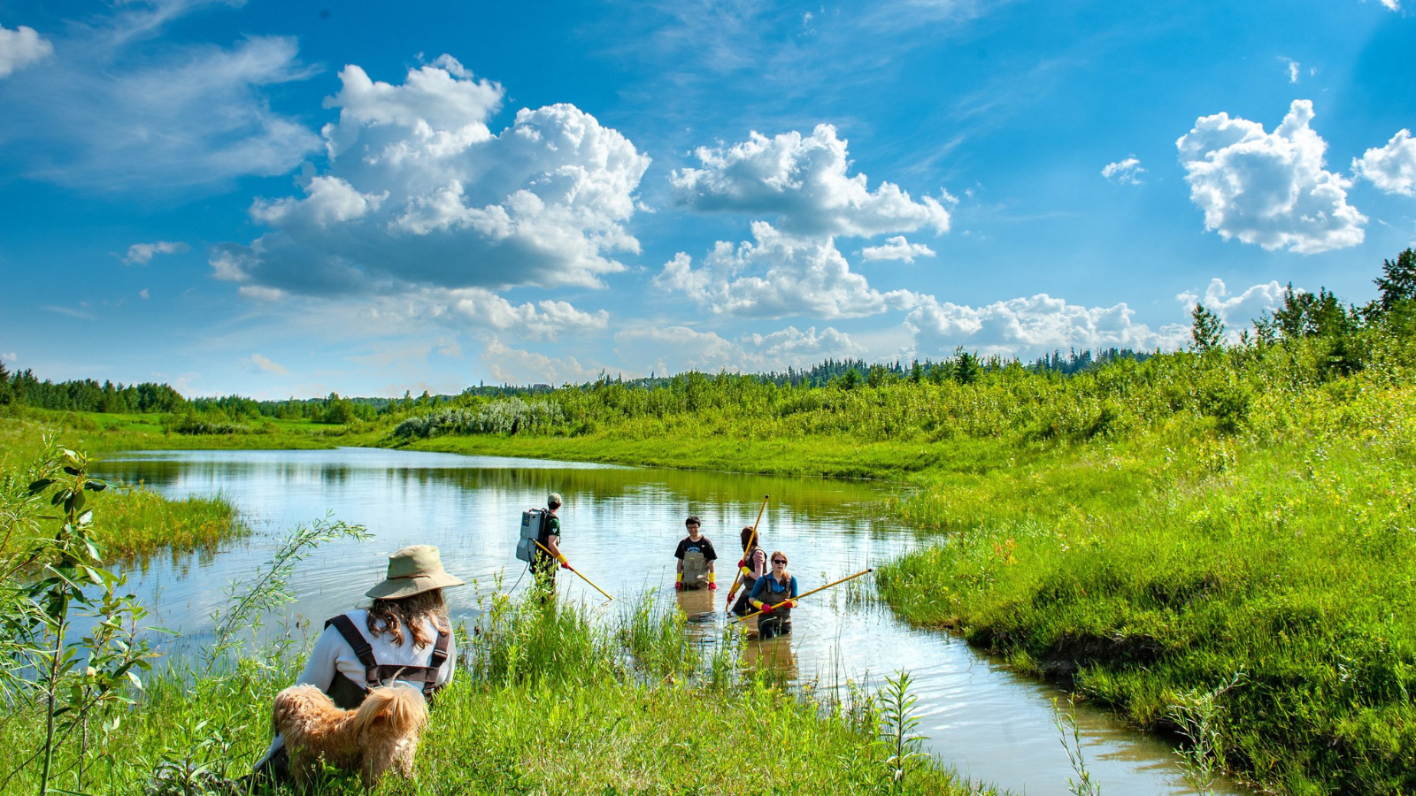 Environmental Science cou_202503124