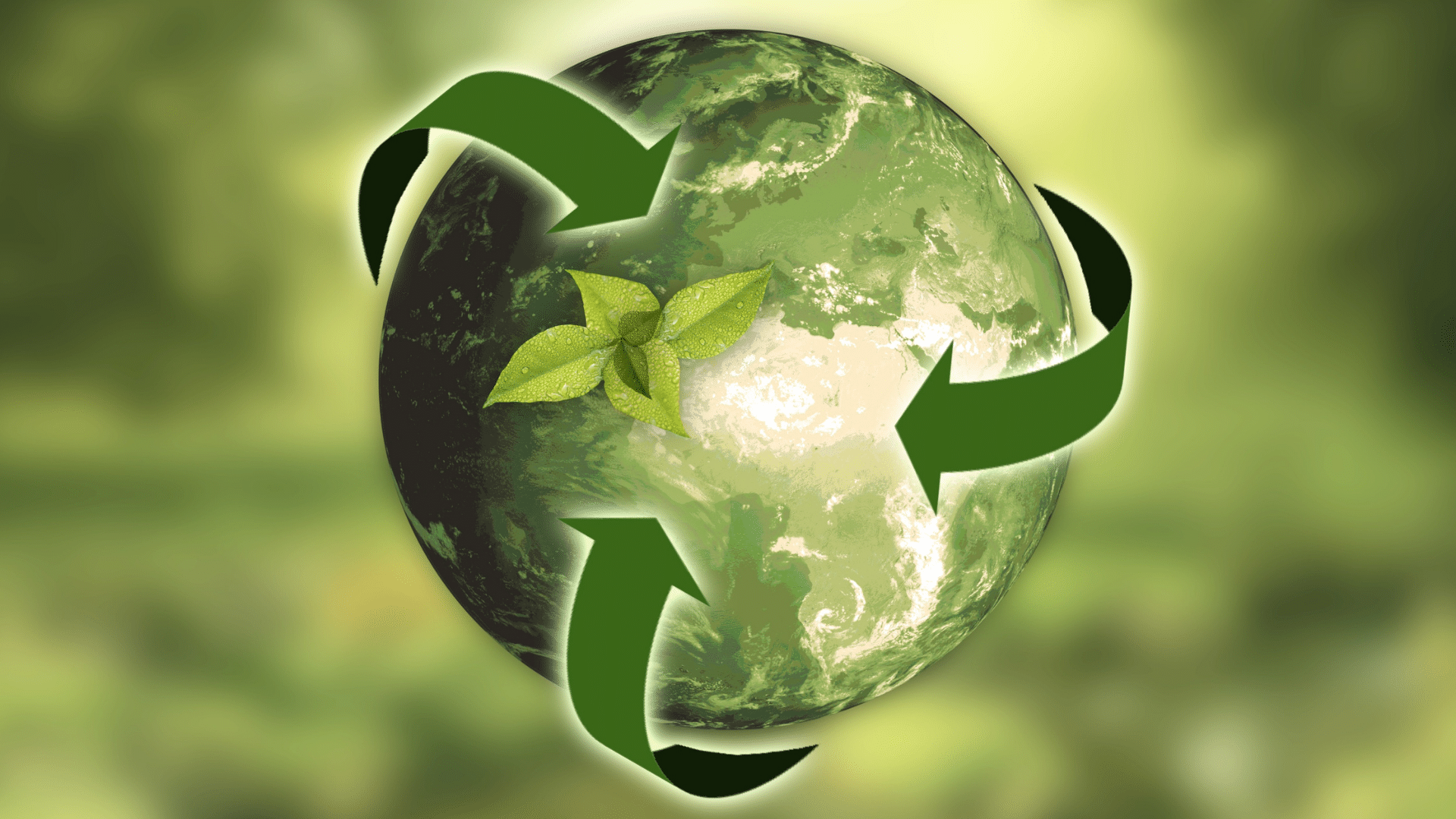 A Circular Economy of Metals: Towards a Sustainable Societal Metabolism cou_202503205