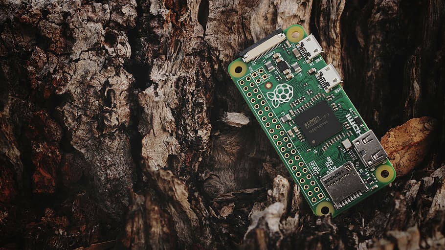 Interfacing with the Raspberry Pi cou_202503225