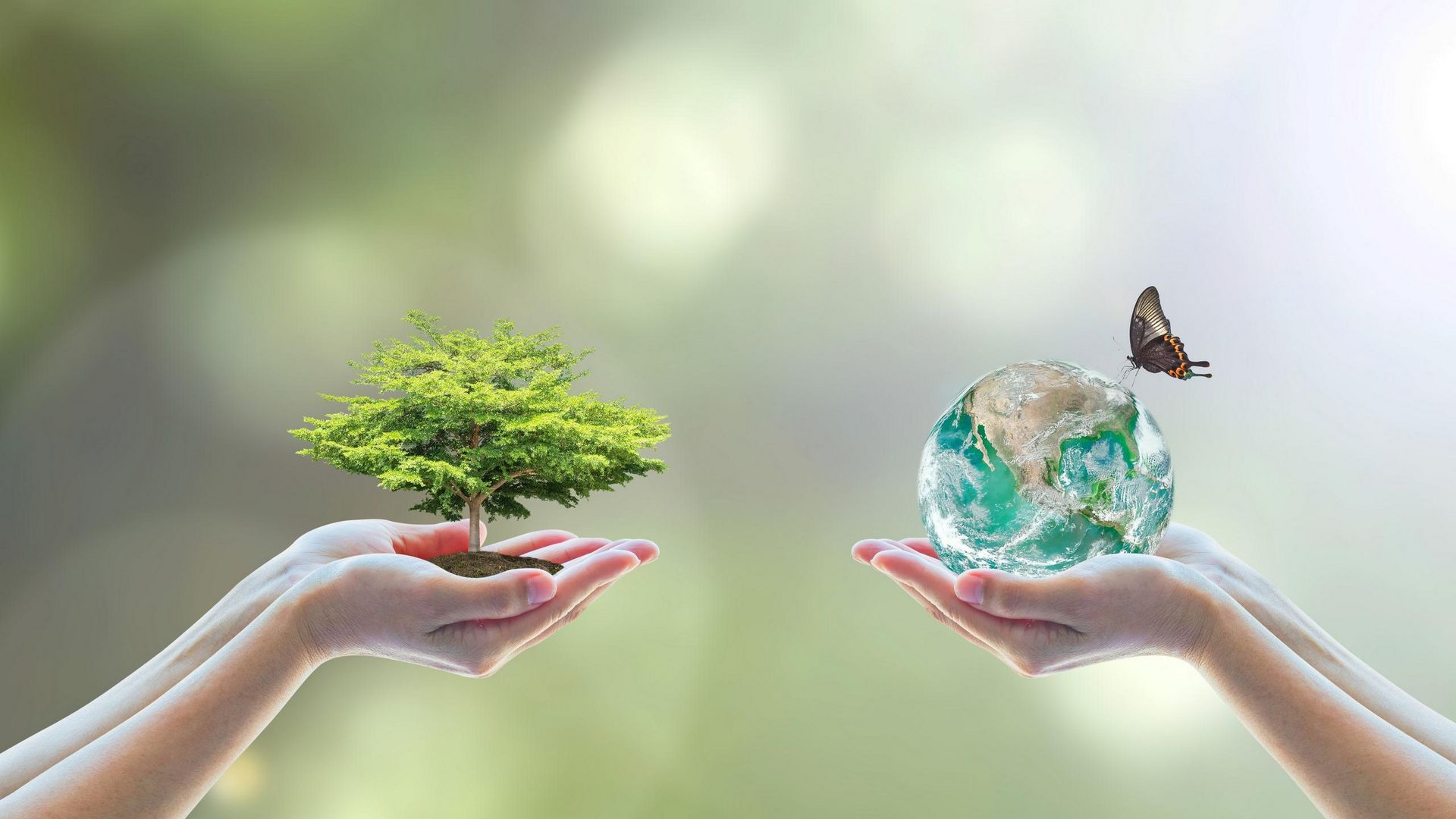 Foundational Sustainability Skills & Competencies cou_202503261