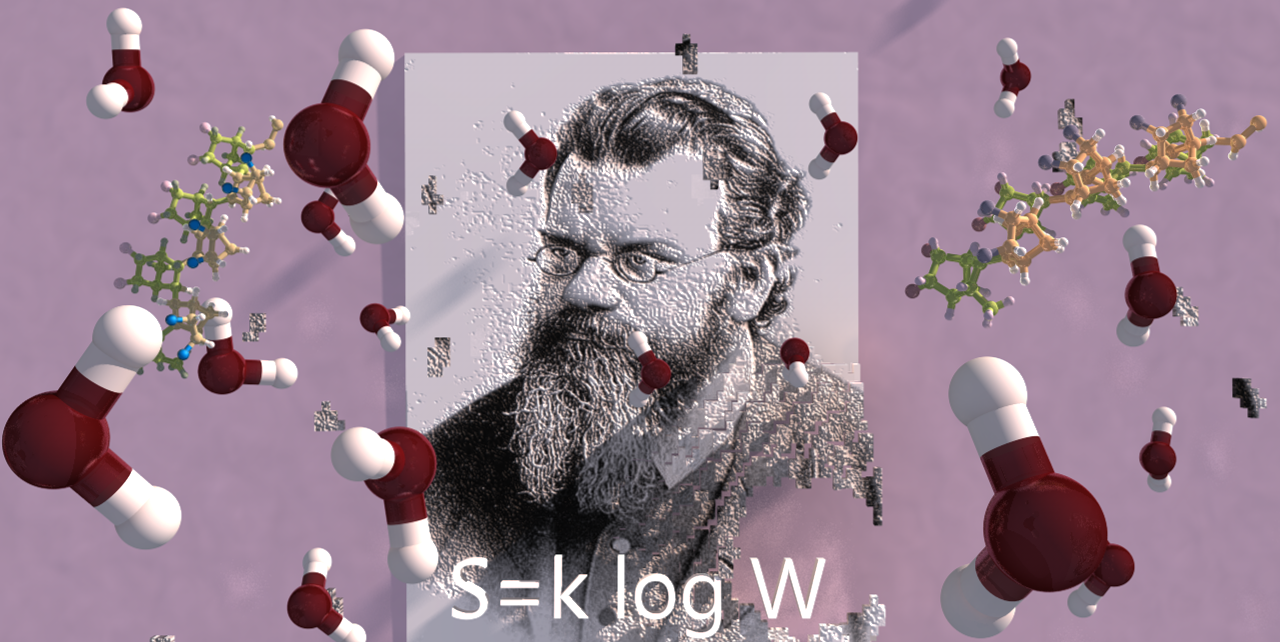 Statistical Molecular Thermodynamics cou_202503269