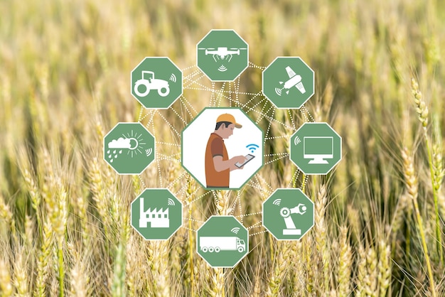Supply Chain of Agriculture cou_20250353