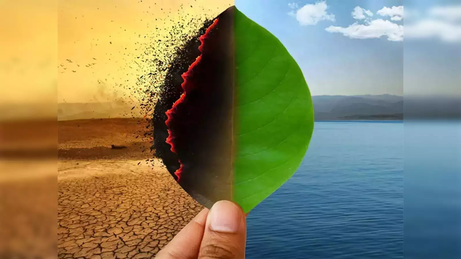 The Finance of Climate Change cou_20250479