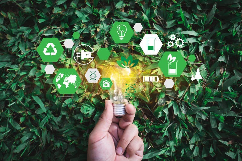 International Business Environment cou_20250527