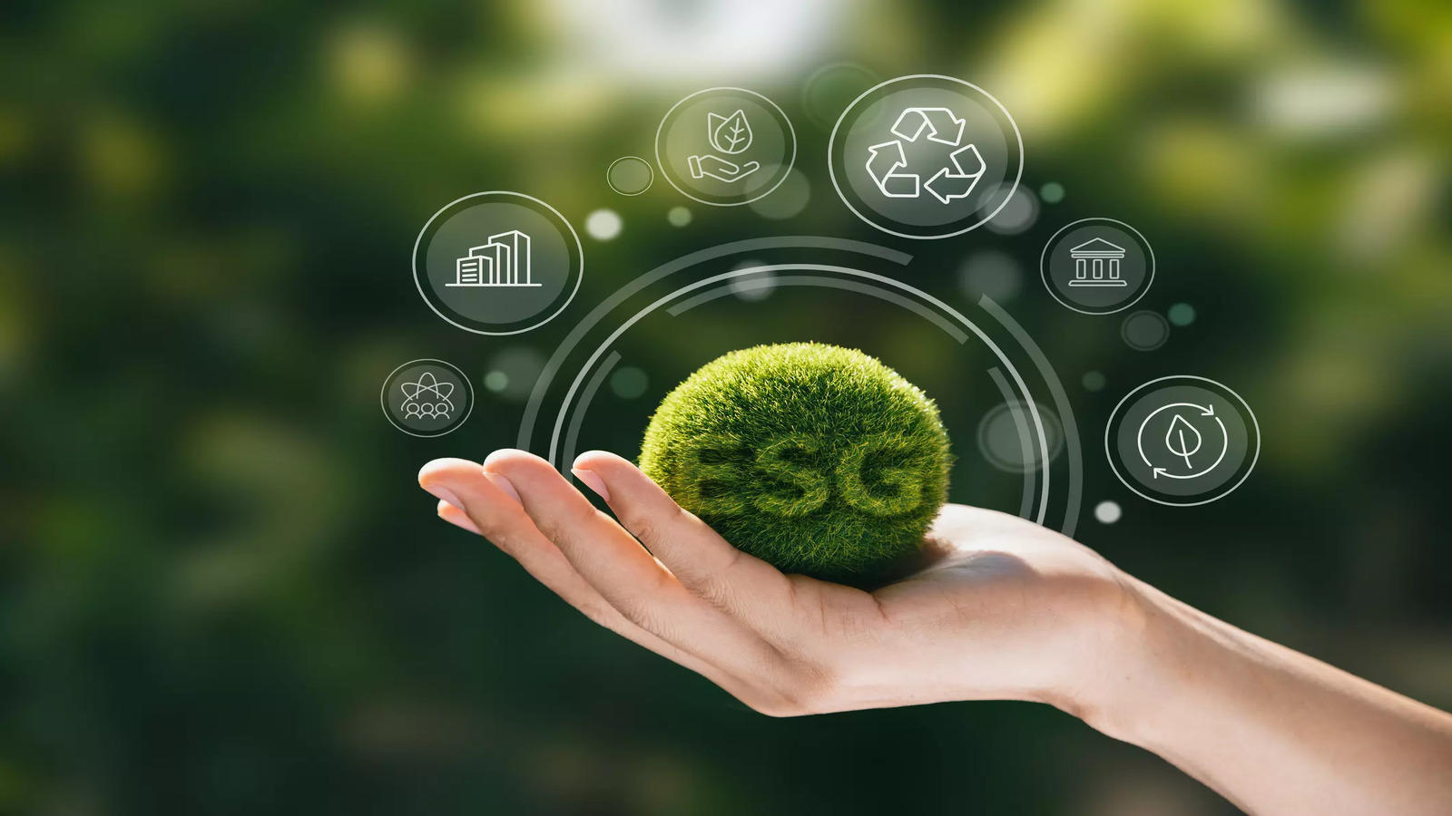 ESG Investing: Setting Standards & Conducting Analysis cou_20250552