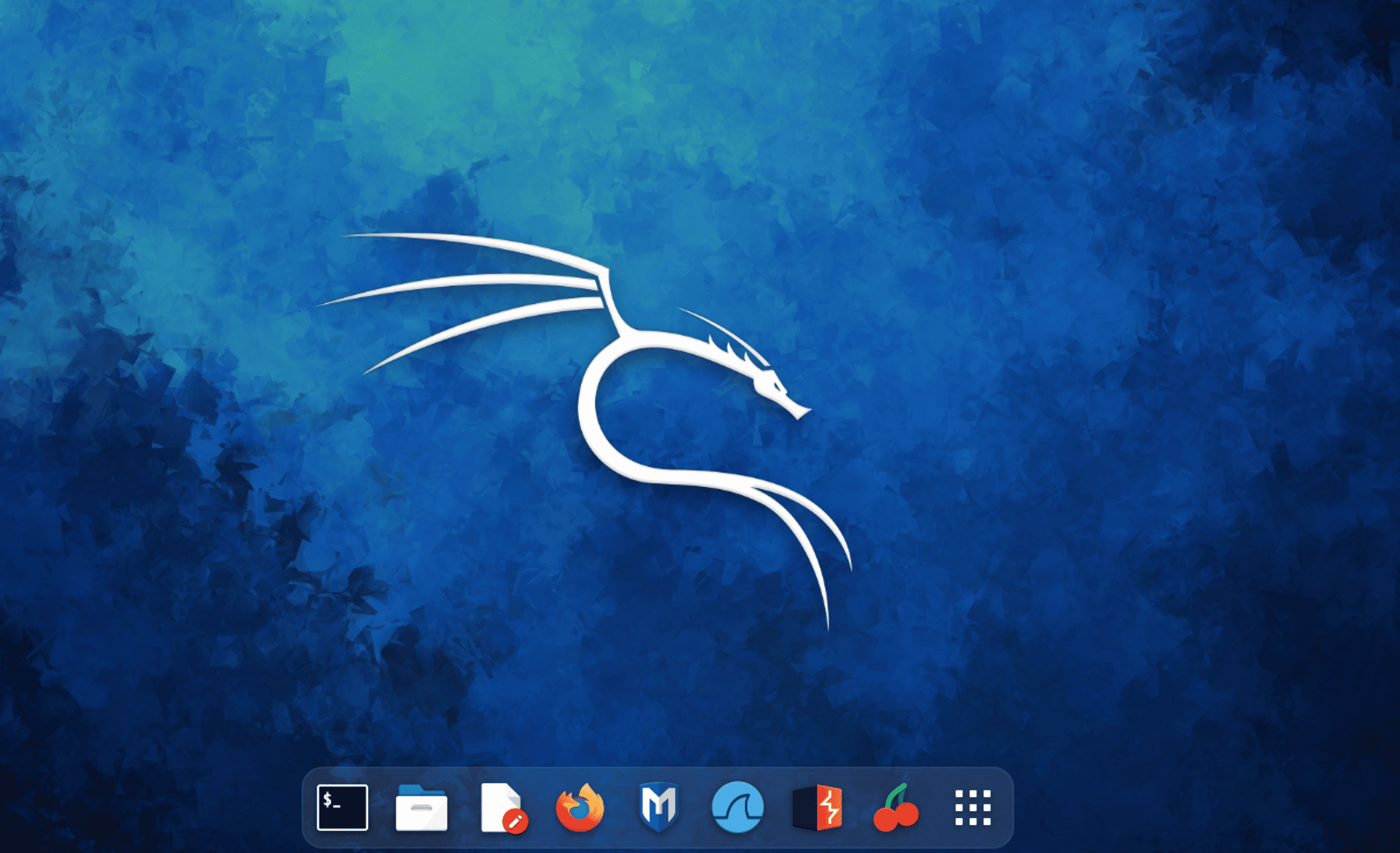 Kali Linux cou_20250780