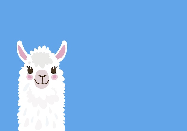 Llama for Python Programmers cou_20250792