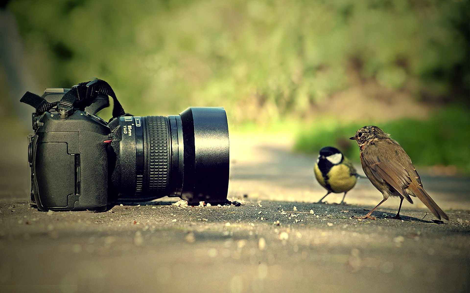 Camera and Imaging cou_20251086