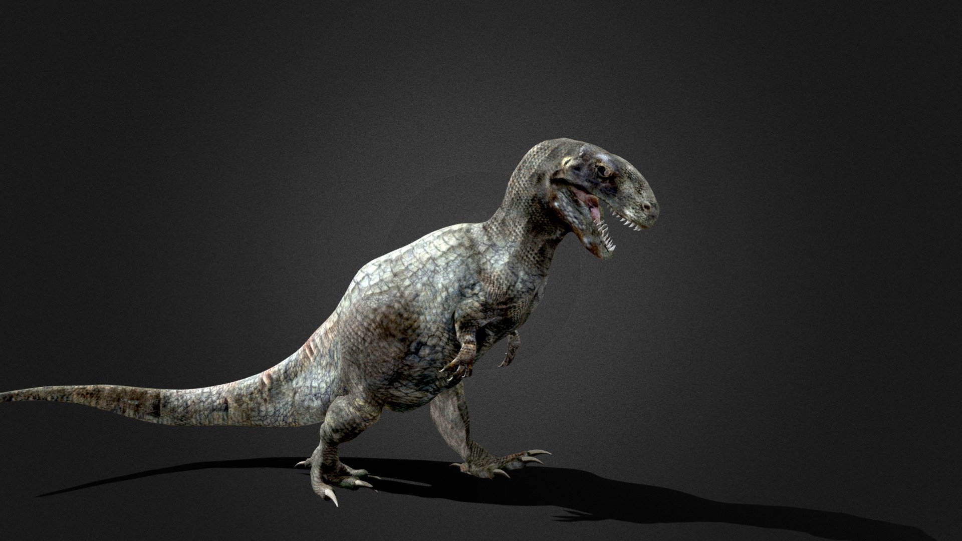 3D Reconstruction - Single Viewpoint cou_20251135