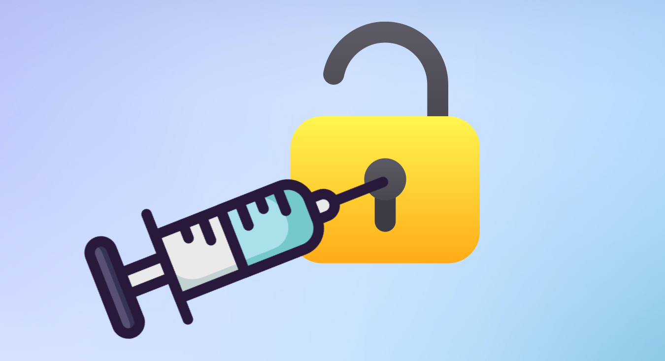 Introduction to Prompt Injection Vulnerabilities cou_20251397