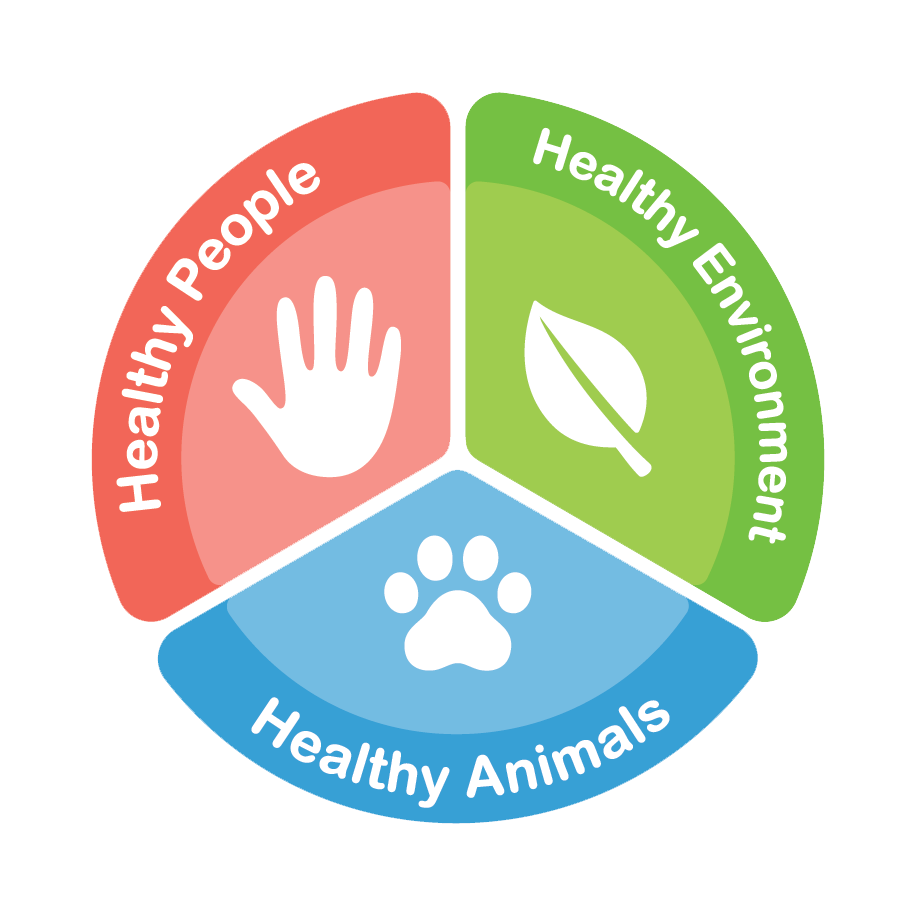 Global Health at the Human Animal Ecosystem Interface cou_296