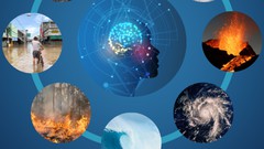 AI and Disaster Management cou_363