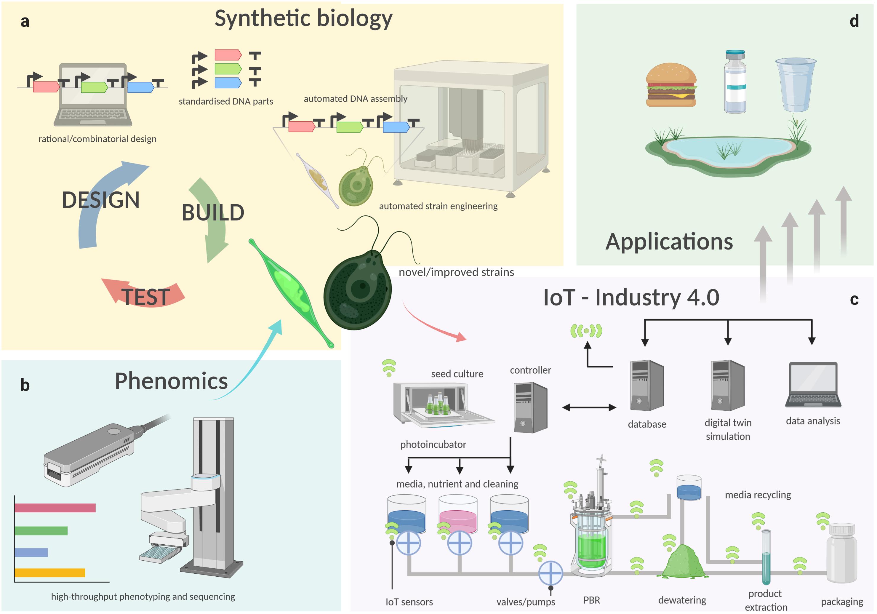 Algae Biotechnology cou_384