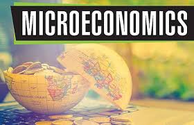Microeconomics: When Markets Fail cou_61